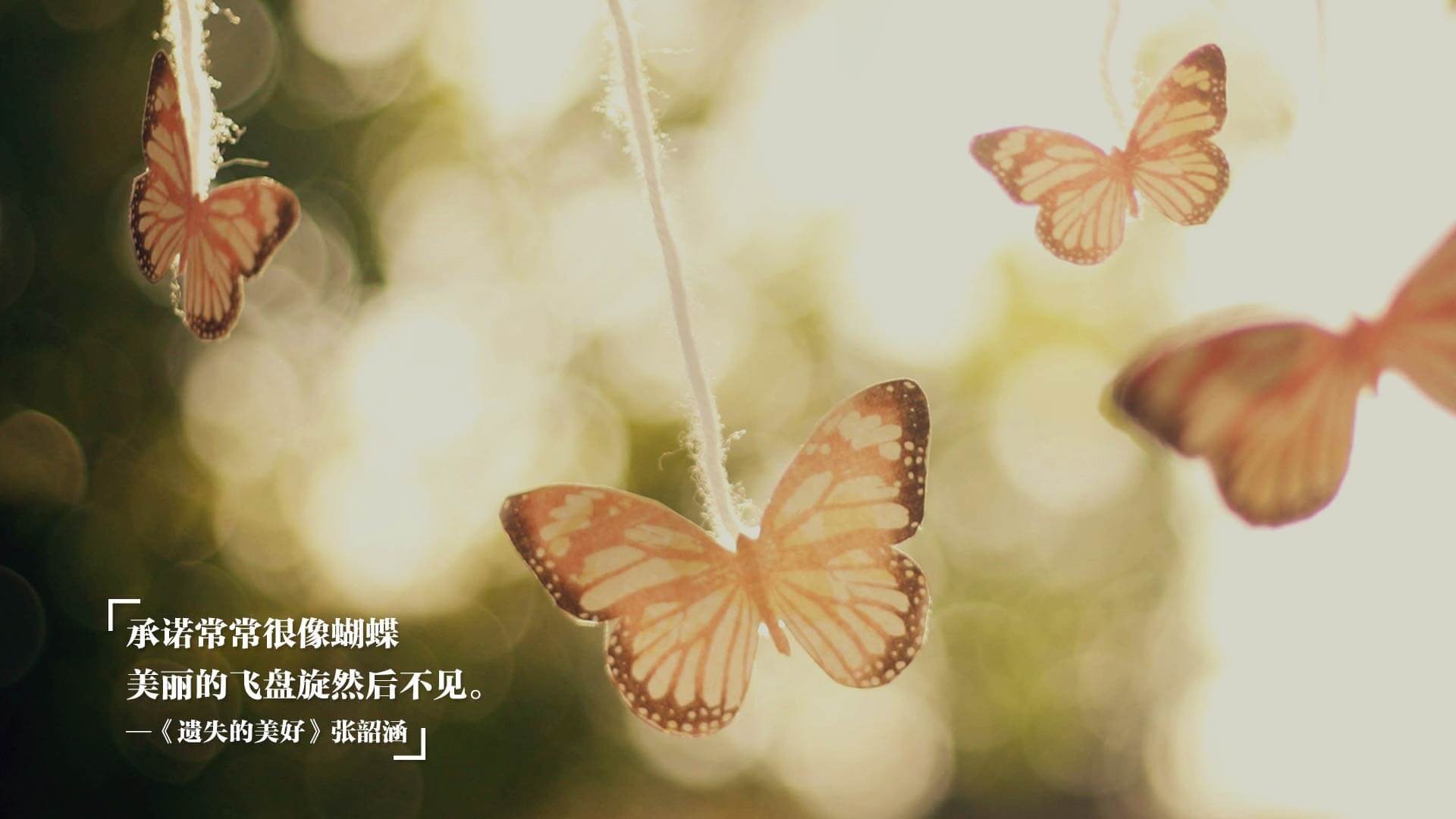 “历史巨星:郭艾伦的篮球之路”,郭艾伦 篮球