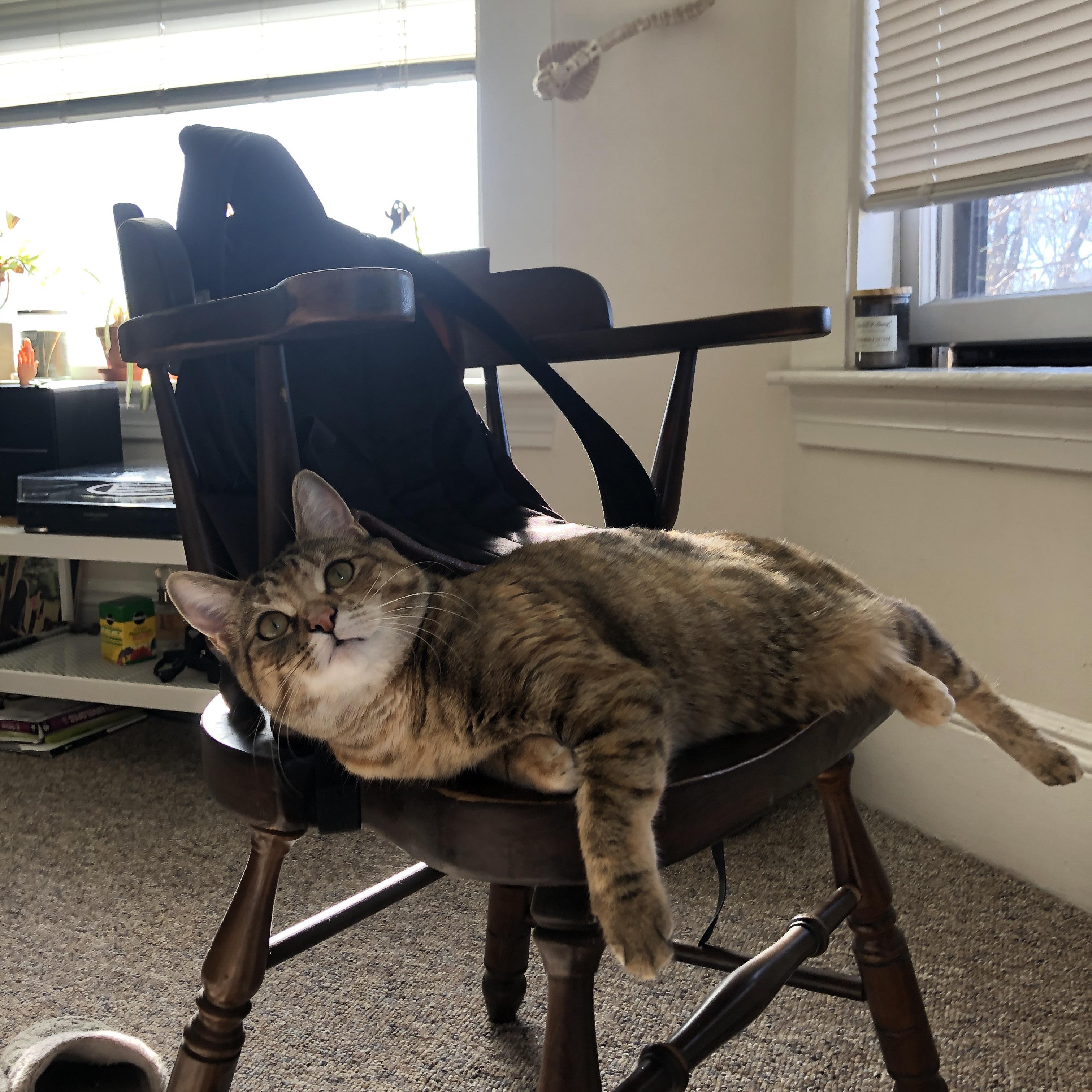 “青少年足球联赛精彩纷呈，激发青少年潜能”，青少年的足球联赛