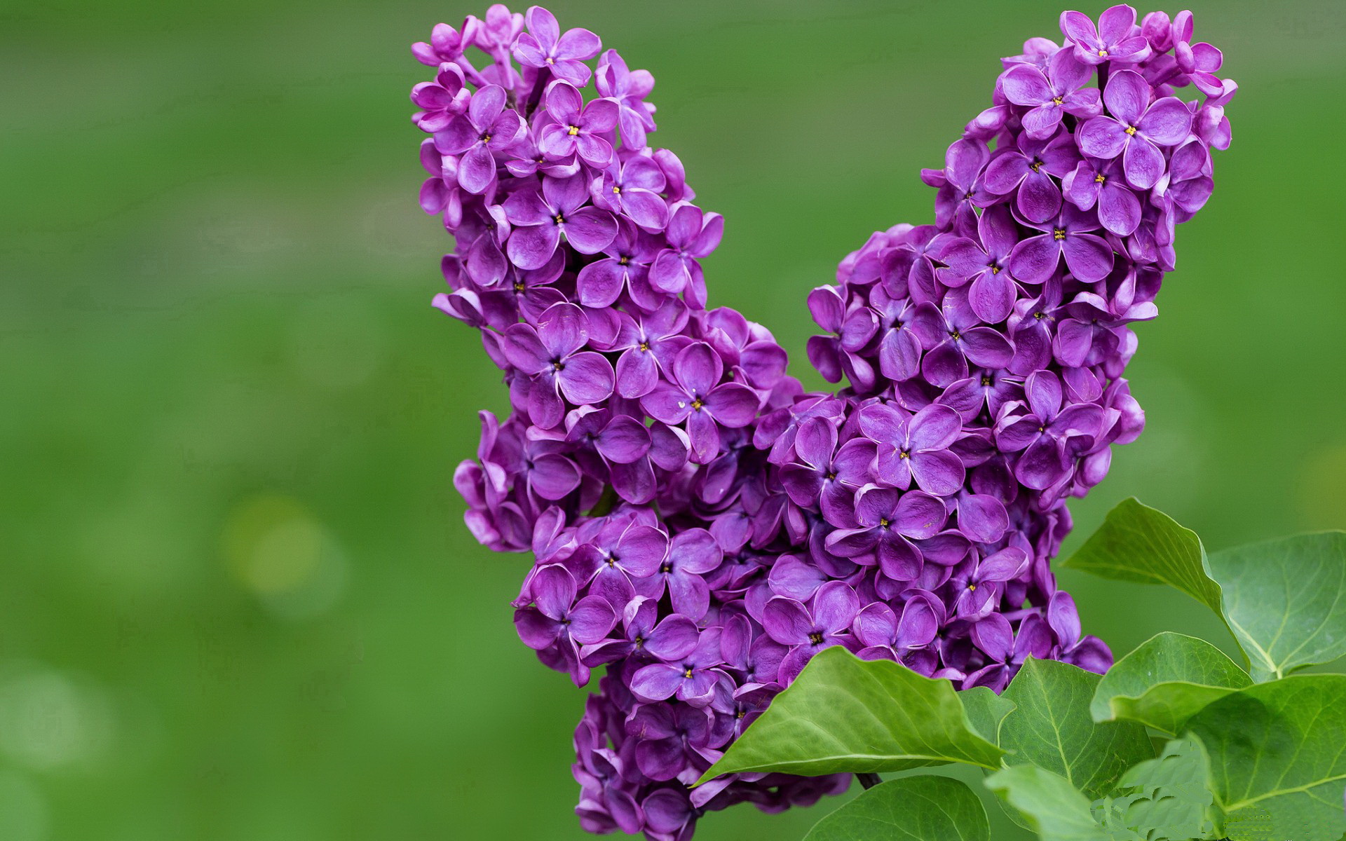 传奇教练的战术哲学详解，联盟传奇教练