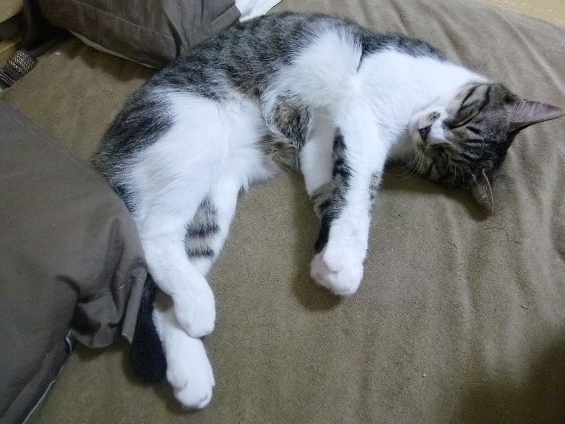 《Dota 2天王之争,最后时刻逆转精彩绝伦》,dota2 天降魔王