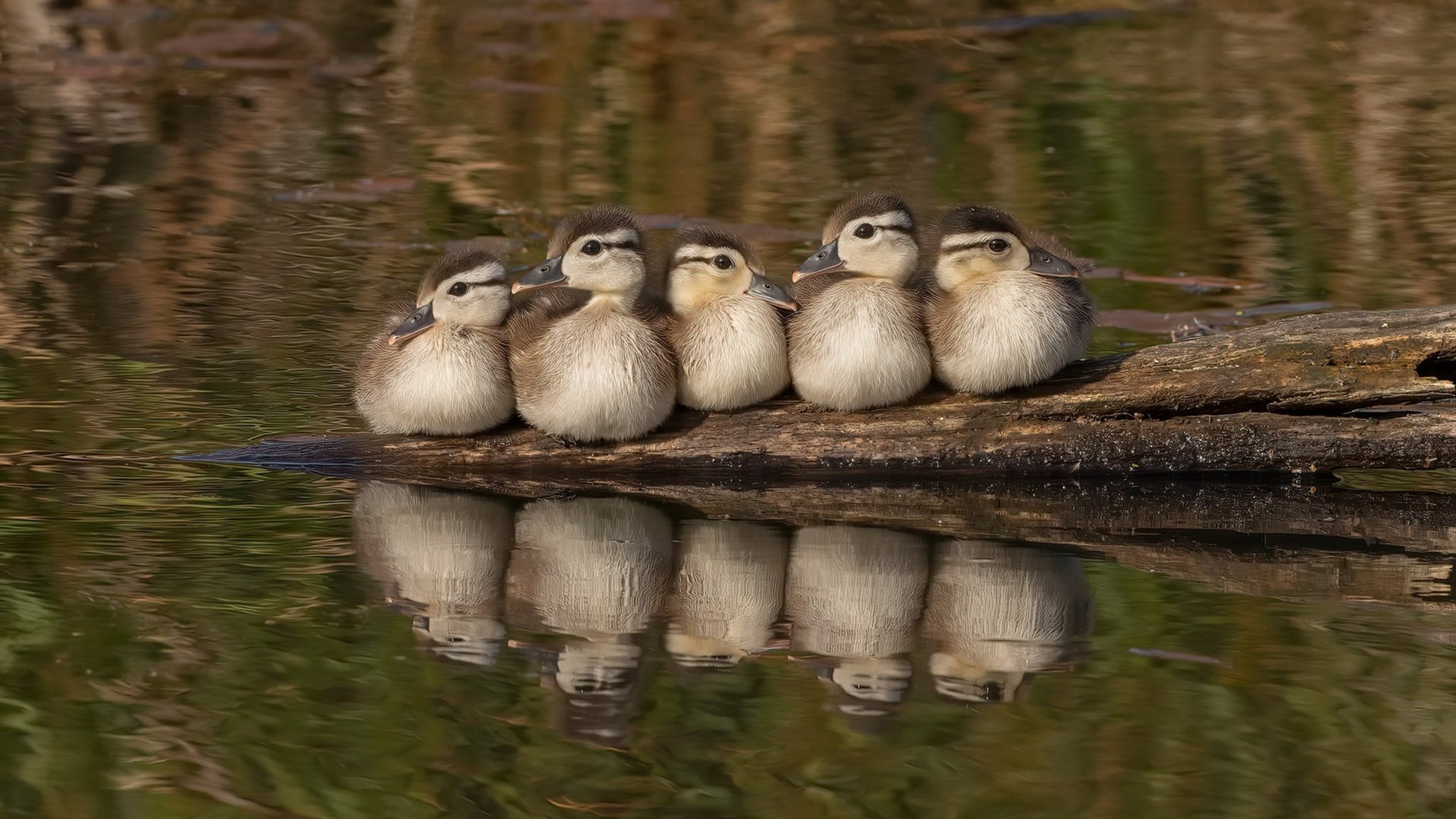 开云网页版-【比赛策略】丁俊晖：如何在关键局巧妙使用攻防战术？，丁俊晖打法