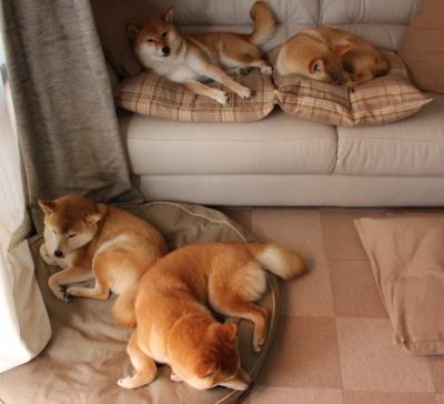 史上最激动人心“冠军对决”现场盛况，冠军精彩