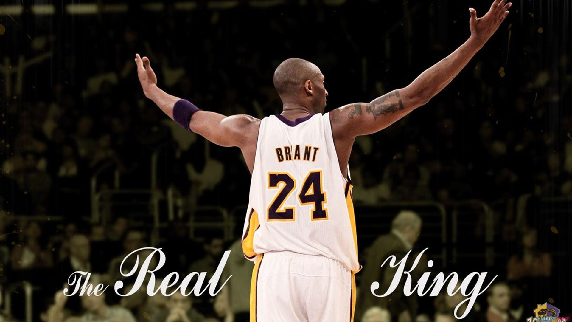 詹姆斯为落选新星送上暖心鼓励，詹姆斯新人